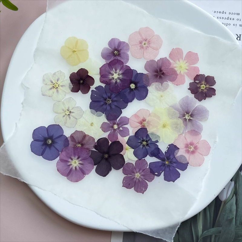 12 stuks, semi-transparante ni - Resin Art Phone Case recensie en prijs