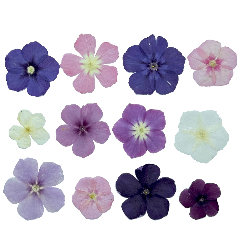 12 stuks, semi-transparante ni - Resin Art Phone Case recensie en prijs